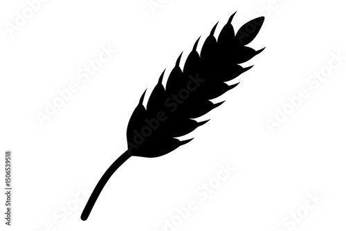 Cereal icon, wheat ears icon vector, wheat, barley