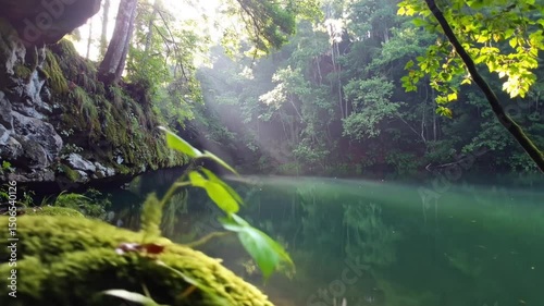 Wallpaper Mural Emerald Lake Sunlit Forest Scene Torontodigital.ca