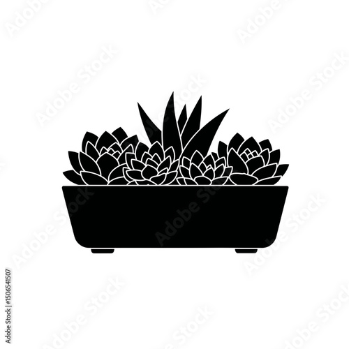 Aesthetic Succulent Cluster Minimalistic Silhouette Ceramic Tray Modern Indoor Greenery Design