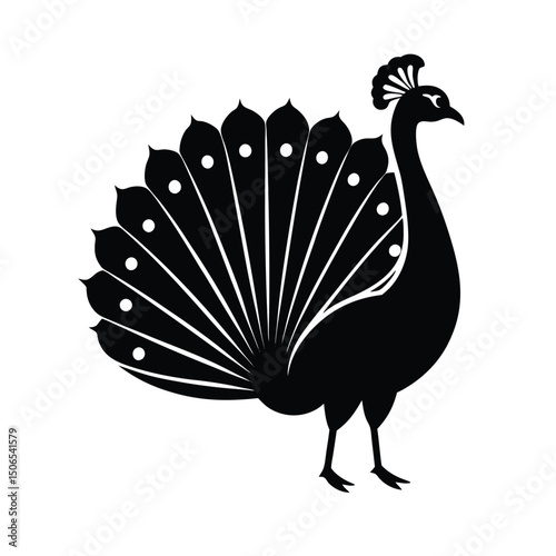 Peacock Displaying Tail Vector Silhouette