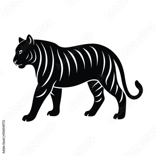 White Tiger Stalking Vector Silhouette