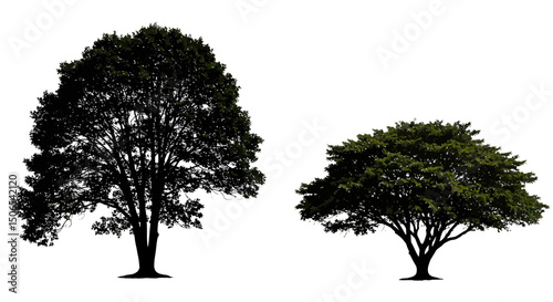 Vector Silhouette of Trees Isolated White Background Natural Landscape Design