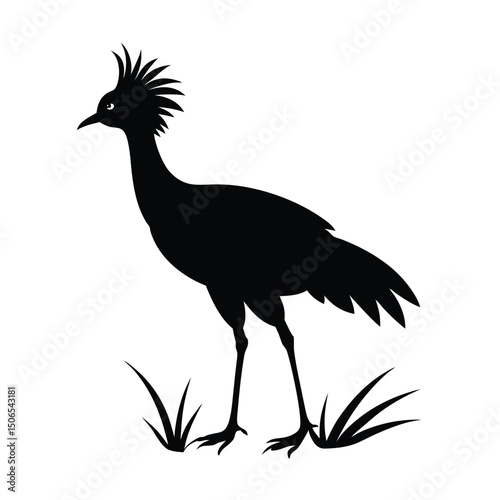 Secretarybird Striding Vector Silhouette
