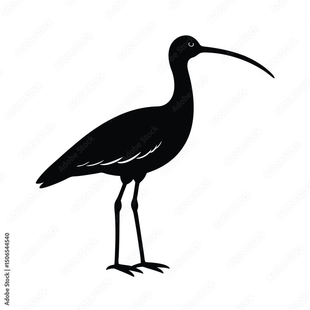 Fototapeta premium Curlew Vector Silhouette