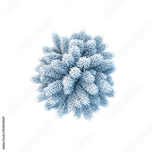 Aerial View of a Snow-Covered Coniferous Tree in Winter