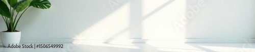 Subtle leaf shadow, pristine white wall, polished floor, floor, design, white