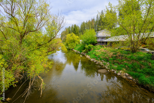 Fototapeta Naklejka Na Ścianę i Meble -  The narrow Palouse River as it runs past homes and small towns in the Palouse region of Washington State near Spokane.