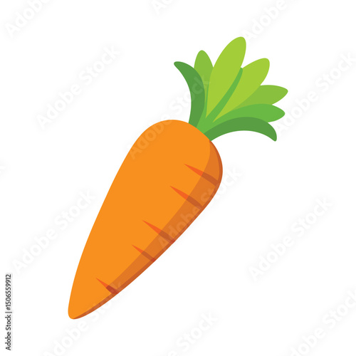 Fresh whole and sliced carrots isolated on a white background