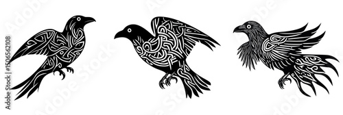 Set of three black stylized raven birds with intricate Celtic knot patterns in various poses flat minimalist vector illustration for Scandinavian mythology and tattoo design inspiration