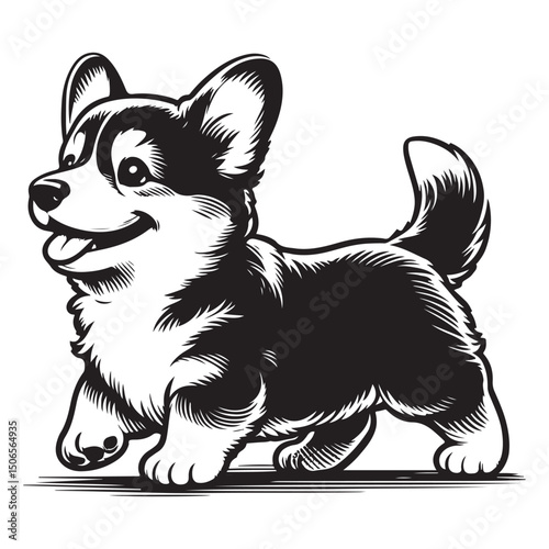vector illustration of a puppy
