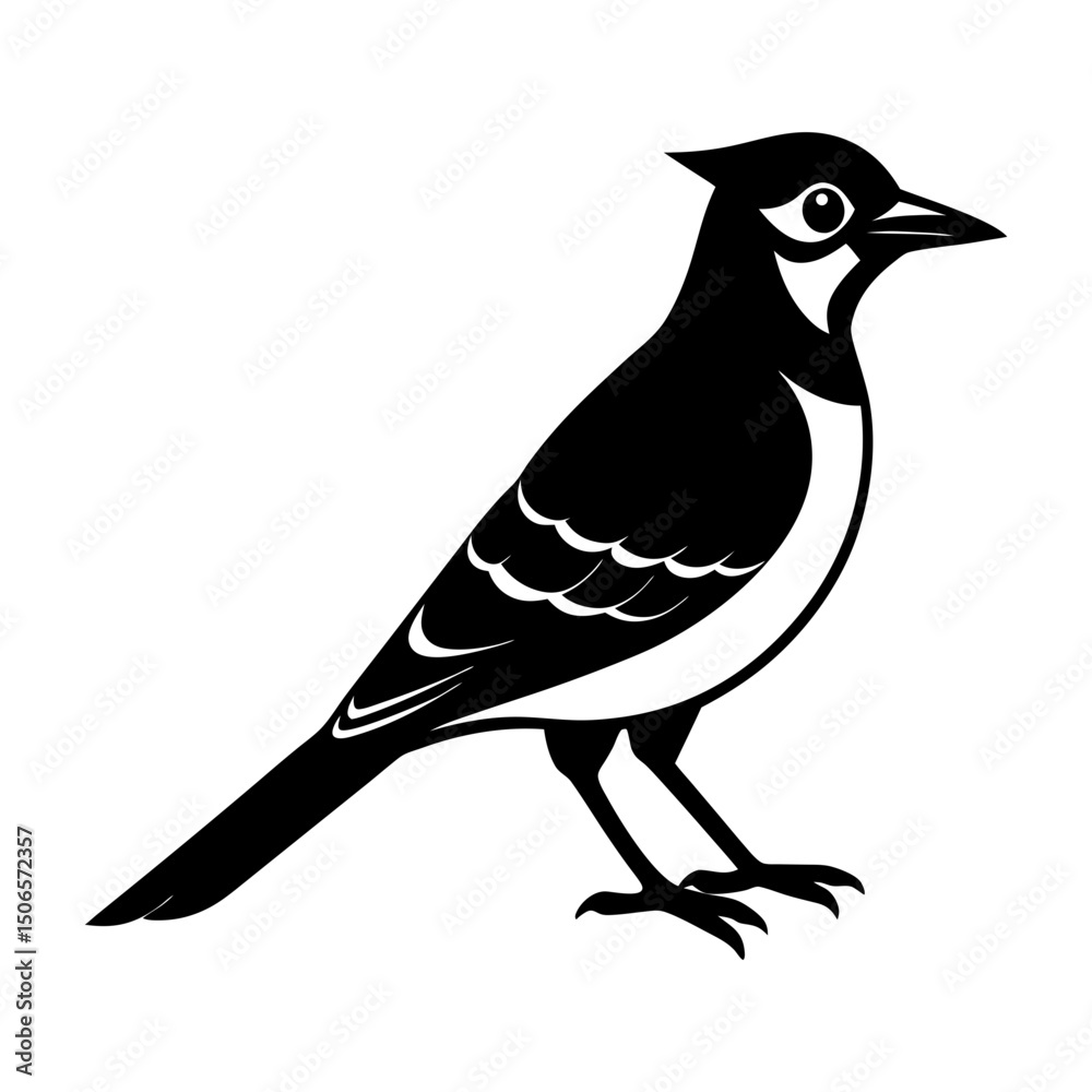 Obraz premium Illustration of a black and white bird with a crest on its head
