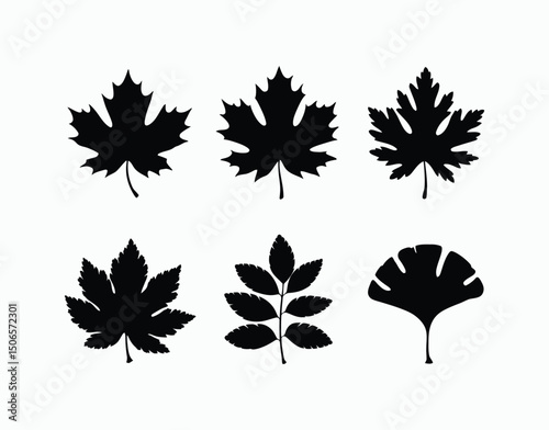 Autumn Leaves Silhouette EPS Vector Template