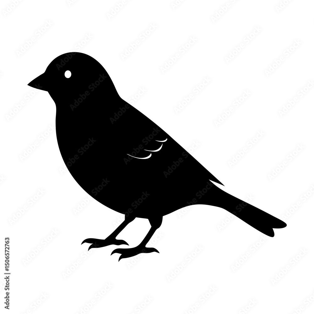 Fototapeta premium Silhouette of a small bird with detailed feathers and tiny legs