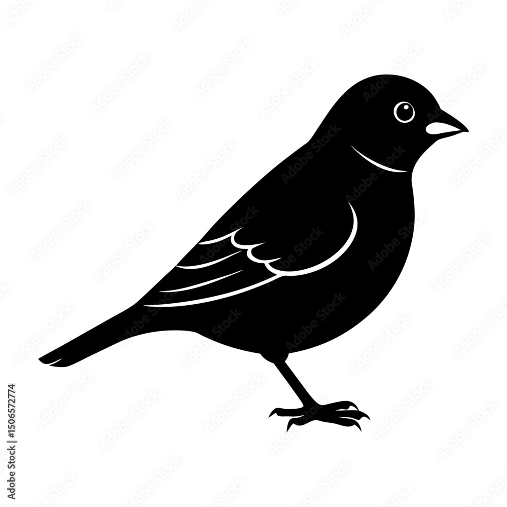 Obraz premium Silhouette of a small bird standing with detailed wing feathers shown