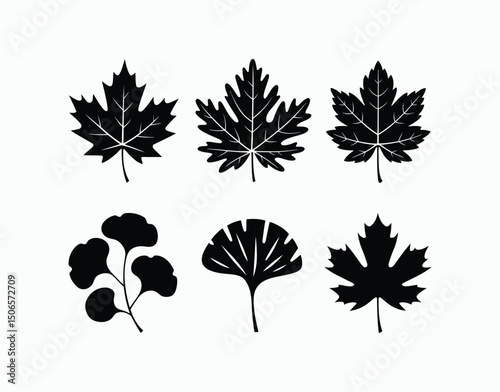 Elegant Autumn Leaf Silhouette Collection Vector Template