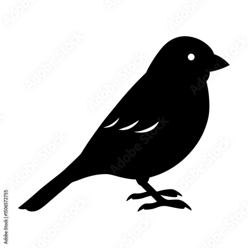 Silhouette of a small bird perched with detailed feet and feathers
