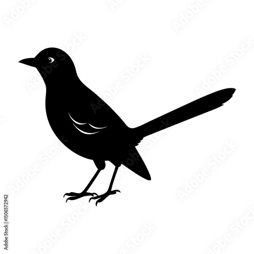 Silhouette of a long tailed bird standing on its feet in black color