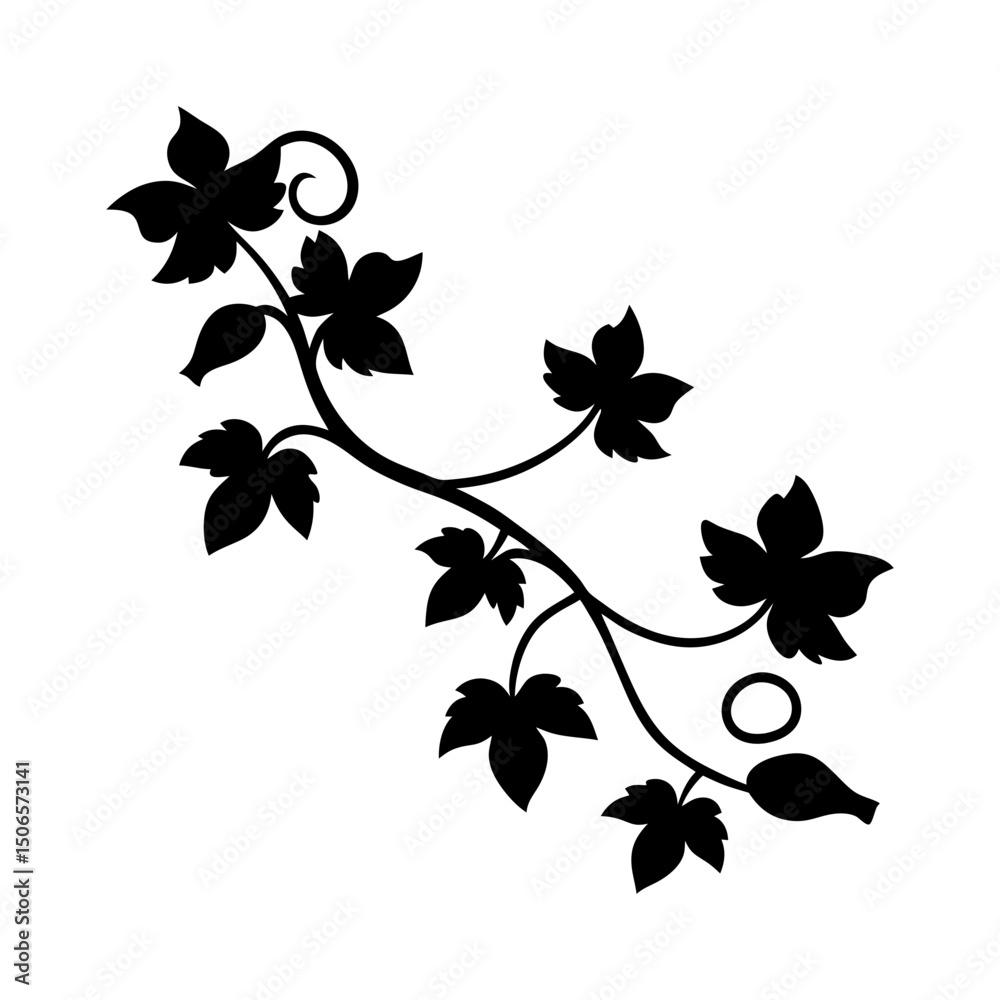 Obraz premium Silhouette of a leafy vine with curling tendrils and pointed leaves