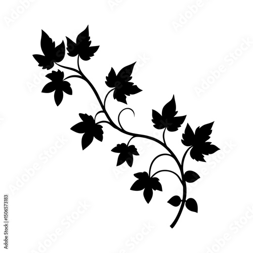 Silhouette of a climbing vine with leaves on a white background