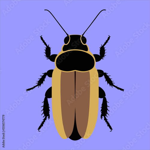 Cockroach  icon vector illustration
