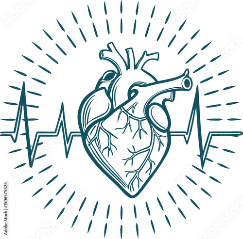 Anatomical heart drawing with heartbeat line and radiant background graphic symbol