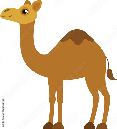 camel cartoon illustration
