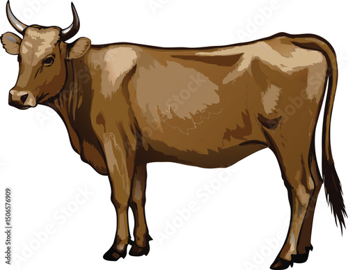 Qurban cow colorful  vector illustration on transparent background.