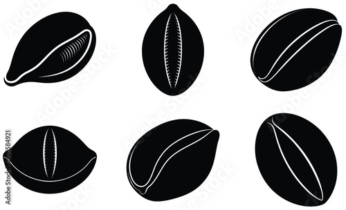 Cowrie Shell Silhouette Vector Set – Smooth Glossy Sea Shell Illustration, Exotic Marine Life Art, Coastal Beach Decor, and Tropical Ocean Design Elements