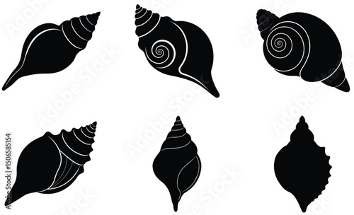 Junonia Volute Shell Silhouette Vector Set – Ornate Sea Shell Illustration, Exotic Marine Life Art, Coastal Ocean Decor, and Tropical Beach Design Elements