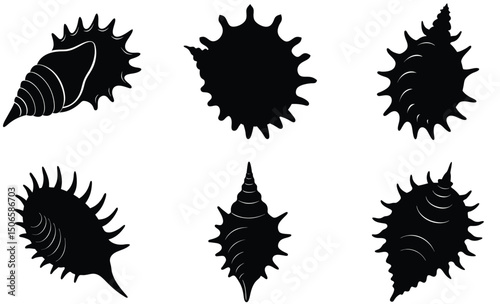 Ramose Murex Shell Silhouette Vector Set – Ornate Sea Shell Illustration, Spiked Marine Life Art, Tropical Ocean Nature Design, and Coastal Beach Decor Elements