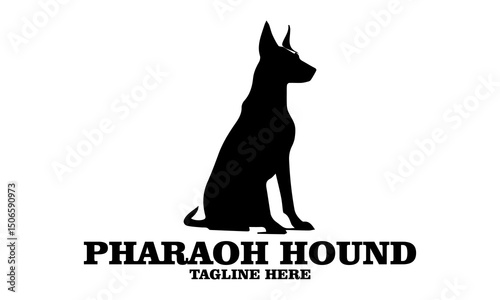 Pharaoh hound icon. Pharaoh hound vector illustration, pharaoh hound logo design and noble desert heritage