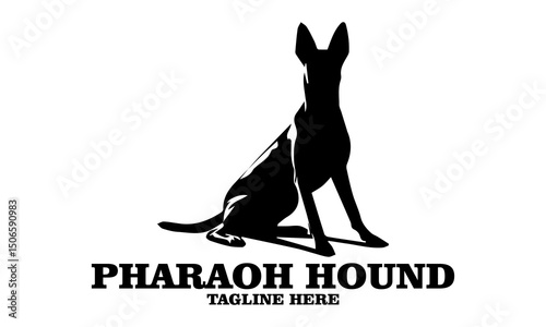 Pharaoh hound icon. Pharaoh hound vector illustration, pharaoh hound logo design and noble desert heritage