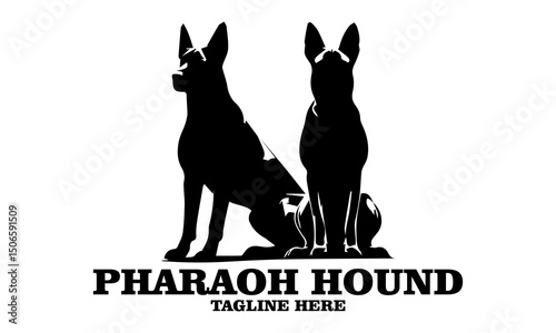 Pharaoh hound icon. Pharaoh hound vector illustration, pharaoh hound logo design and noble desert heritage