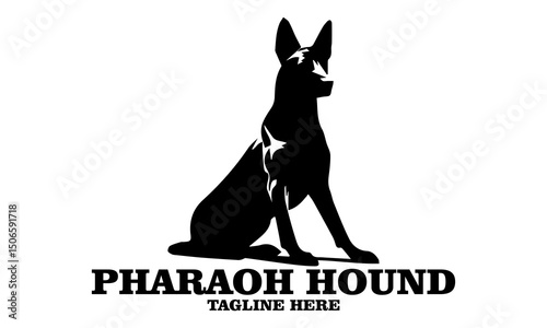 Pharaoh hound icon. Pharaoh hound vector illustration, pharaoh hound logo design and noble desert heritage