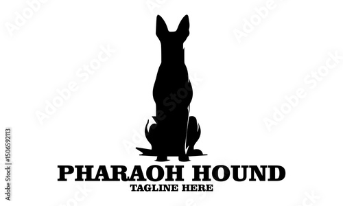 Pharaoh hound icon. Pharaoh hound vector illustration, pharaoh hound logo design and noble desert heritage