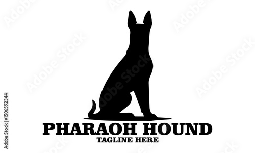Pharaoh hound icon. Pharaoh hound vector illustration, pharaoh hound logo design and noble desert heritage