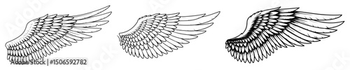 angel wings collection line drawing