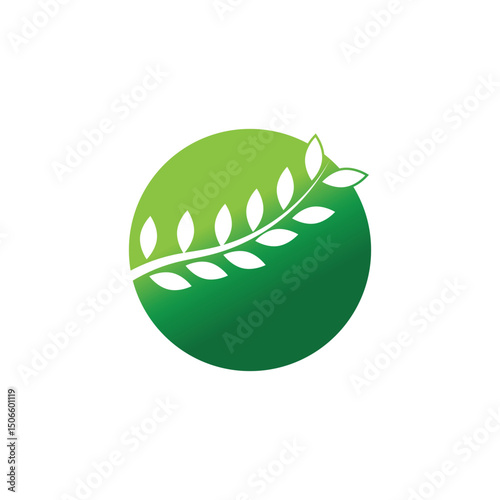 Stylized branch logo vector and symbol