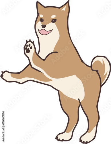 Dog Shibainu standing up-1