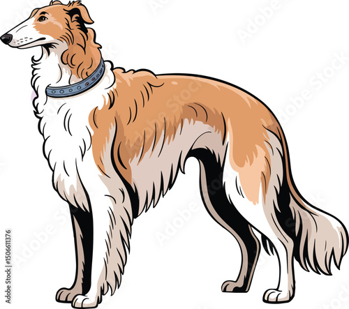 Cute Borzoi Dog Vector