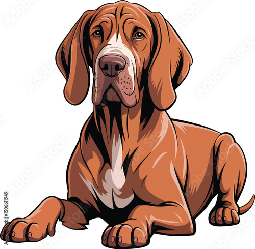 Cute Bracco Italiano Dog Vector