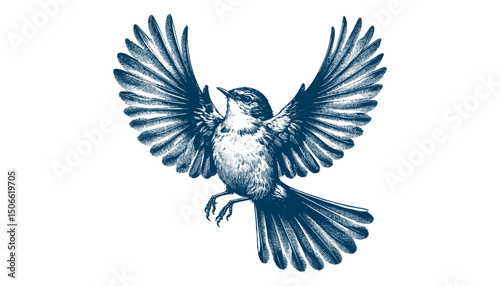 Acadian Flycatcher bird vector