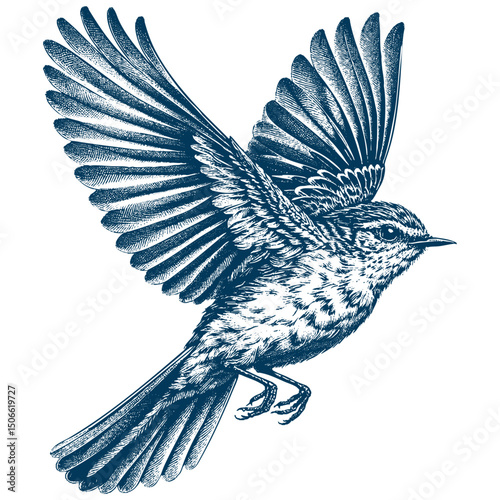 Acadian Flycatcher bird vector