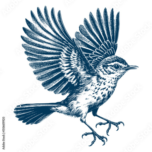 Acadian Flycatcher bird vector