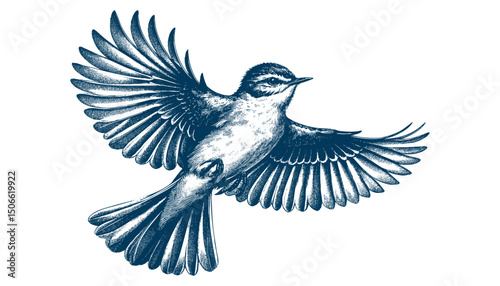 Acadian Flycatcher bird vector