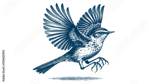 Acadian Flycatcher bird vector