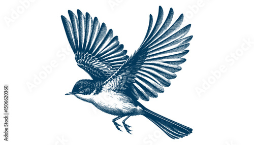 Acadian Flycatcher bird vector