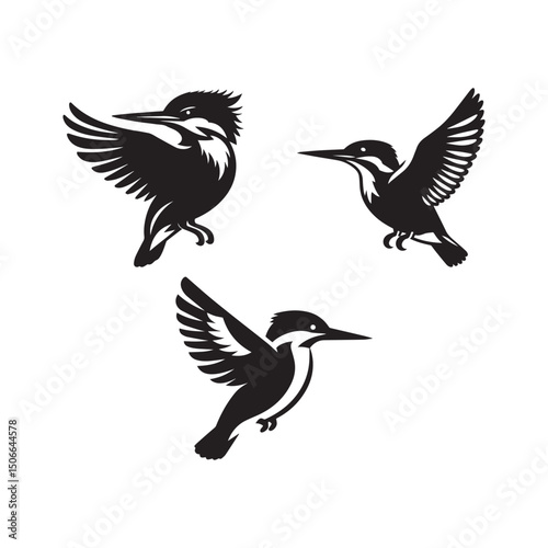 Flying kingfisher bird icon vector on white background. 