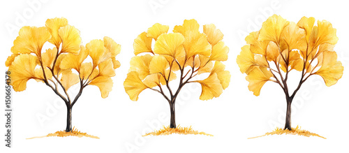 Watercolor painting of three ginkgo trees with vibrant yellow autumn leaves isolated on transparent background