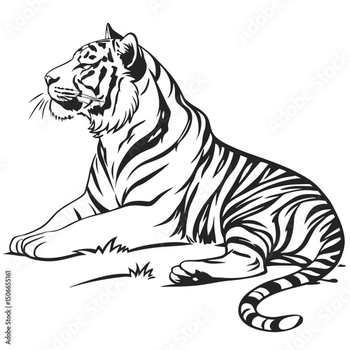 Detailed black and white vector illustration of a majestic tiger reclining